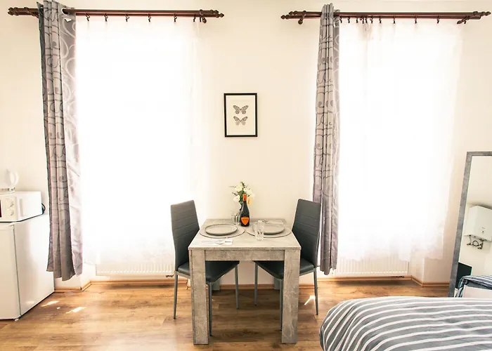 Apartment Komfortni 2luzkovy V Centru Plzne Pilsen